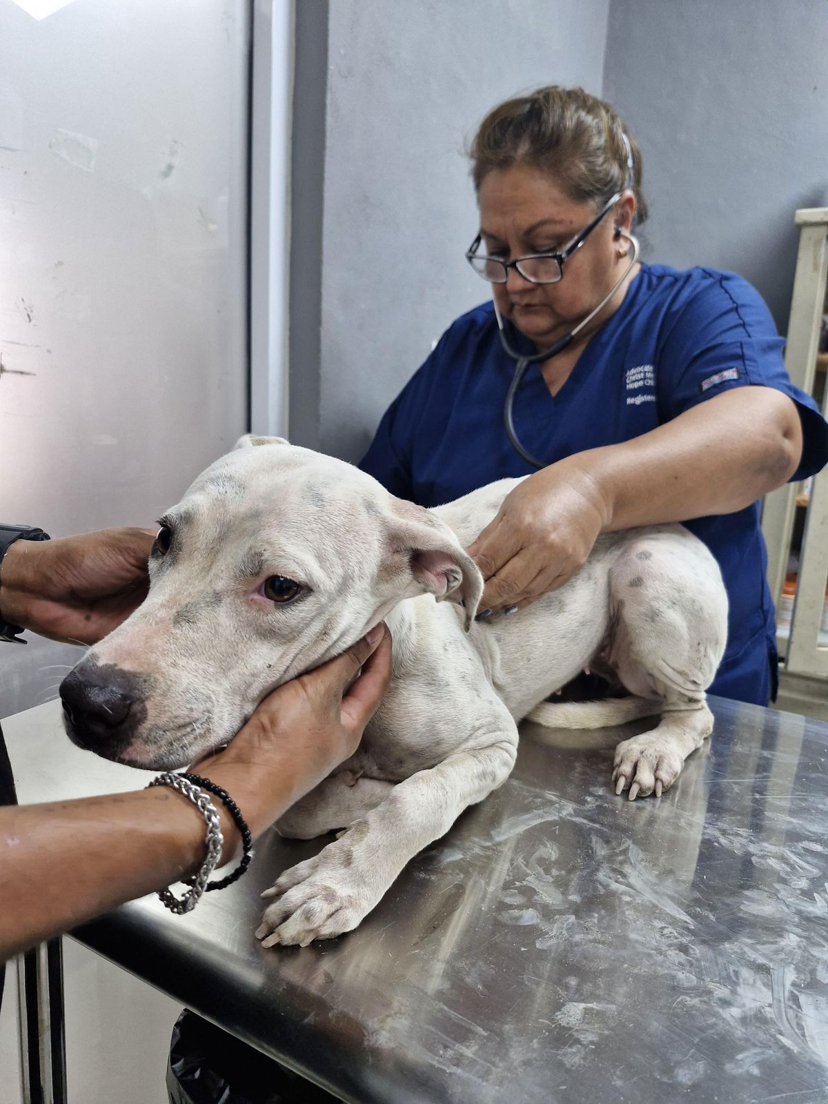 uploads/6/32/01 (2076).Jpeg